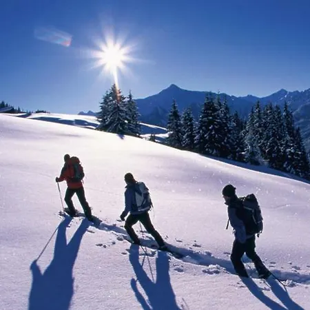 Weissstein Lägenhet